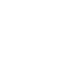 THEBURNINATOROR's emblem