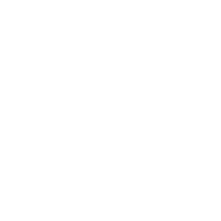 ZeroTinal's emblem