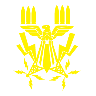 Battlefielder11's emblem