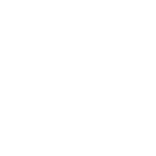 BlackBull217's emblem