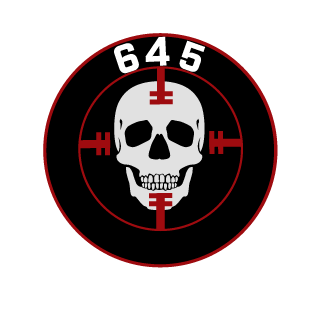 ERROR645's emblem