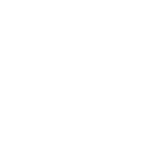 b1itzsturm's emblem