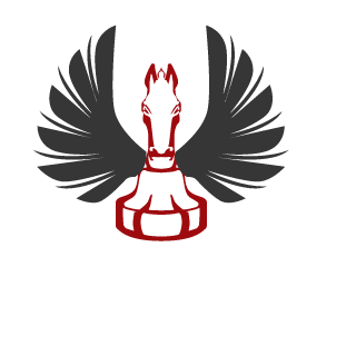 DemonkingXVI's emblem