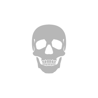IGORek_STV26's emblem