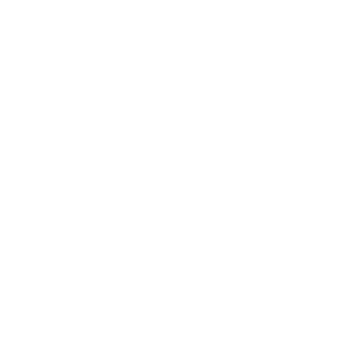 F1zeeFer's emblem