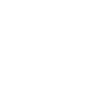 LHdoctor's emblem