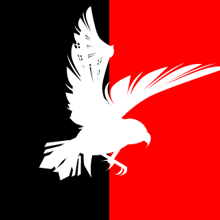 BLACK CROWS's emblem