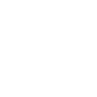 Fox8152's emblem