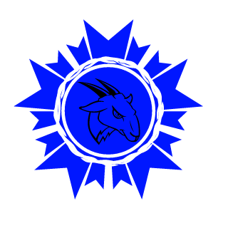 INS4N3 S0CK5's emblem