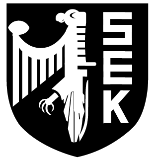 SpezialEinsatzKommando's emblem