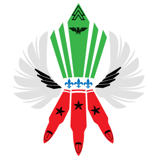 amiroo7813's emblem