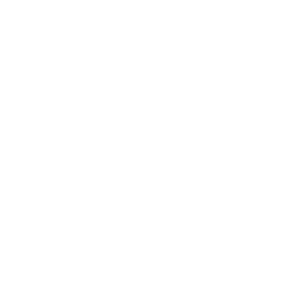 DovahkinS's emblem