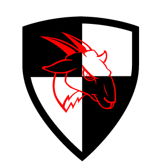 n00btacticsOG's emblem
