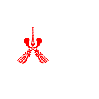 v418x2's emblem