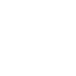 Dikastis17's emblem