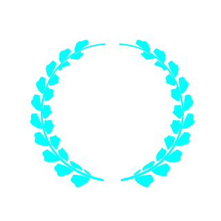 aryaveteran's emblem