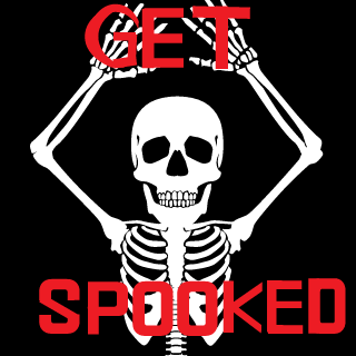 VNiceVSpice's emblem