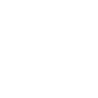 gabrielopenbeta's emblem