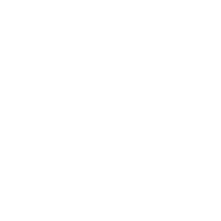 Smimzo's emblem