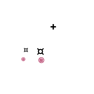 Gabbensteiner's emblem