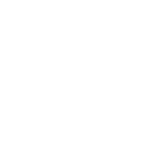 -NI-Pirata's emblem