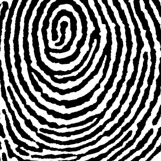 fletcher6847's emblem