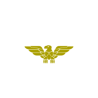 FLASH-040810's emblem