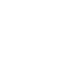 SkyXiChen's emblem
