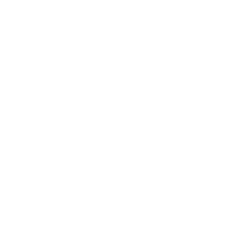 Bucsh0t's emblem