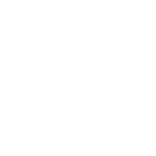 zephyr_axiom's emblem