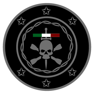 SKALEX20's emblem