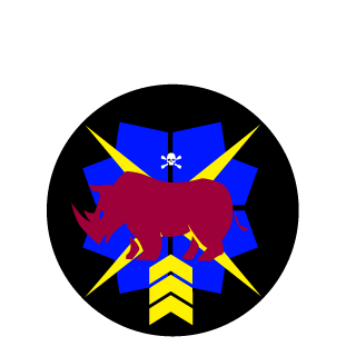 PainGone's emblem
