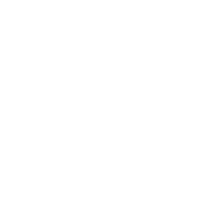 V1peR_xXxX's emblem