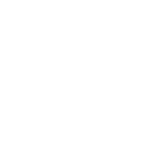 GER_IC4RUS's emblem
