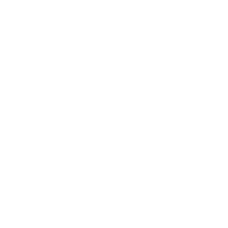 GamingCastro's emblem
