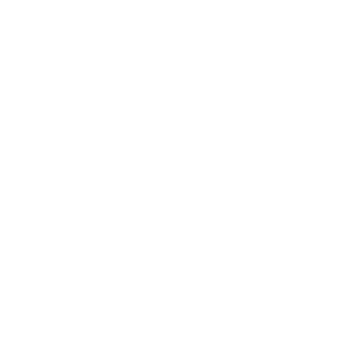 DamagedDutchie66's emblem