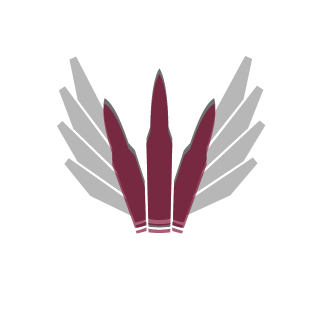 LAngel2507's emblem