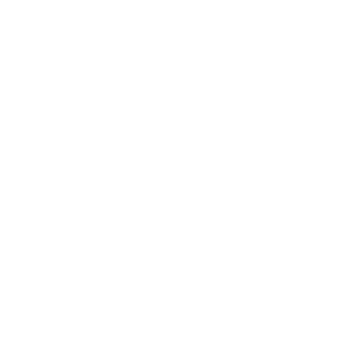 LeooPls's emblem