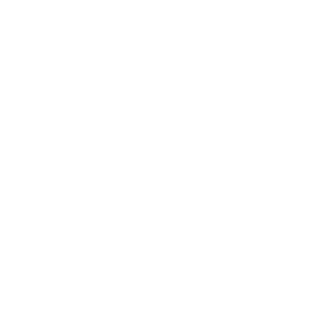 Wasdd2's emblem
