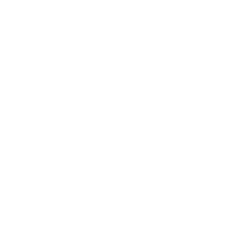 NighT_King1337's emblem