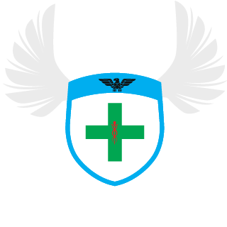 vPaladin_G2's emblem