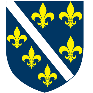 damke98's emblem