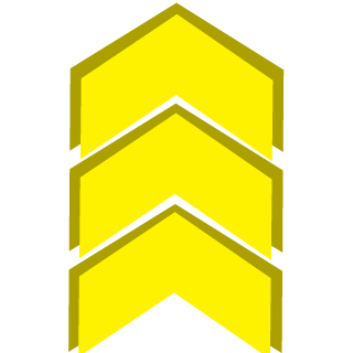 Thunderbolt717's emblem