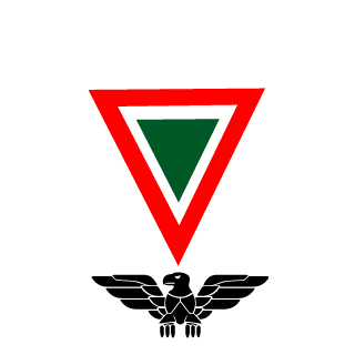 13121_zch_yo's emblem