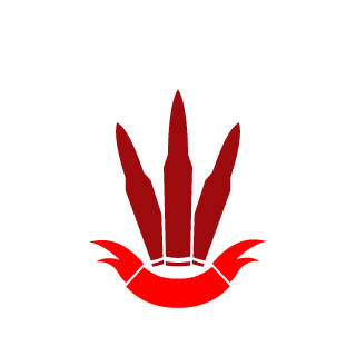 D1k00brazz's emblem