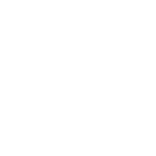speedyky66's emblem