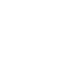 zL2K's emblem