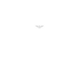 Toxic_Warfire117's emblem
