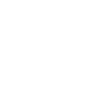 DeathandGravity9's emblem