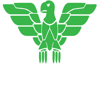 Saiajin123's emblem